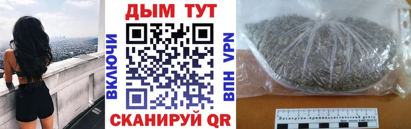 Бошки Шишки SATIVA & INDICA  Купить где  Болотное 